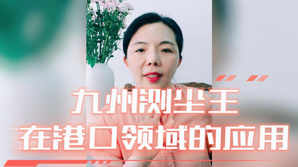 九州测尘王在港口领域的应用